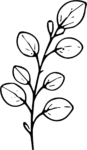 Leafy Branch SVG Botanical Outline Vector