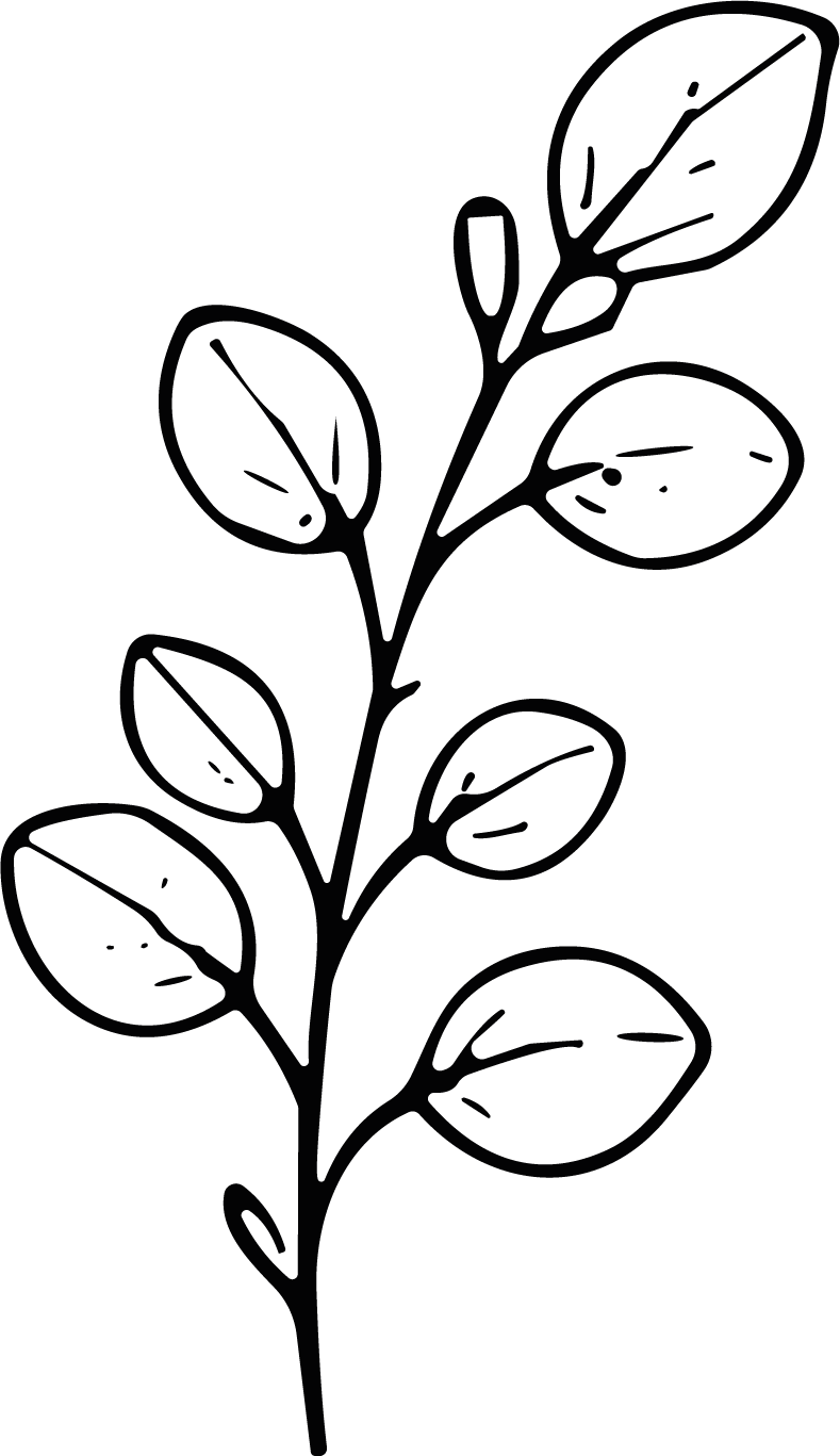 Leafy Branch SVG Botanical Outline Vector - Image 1