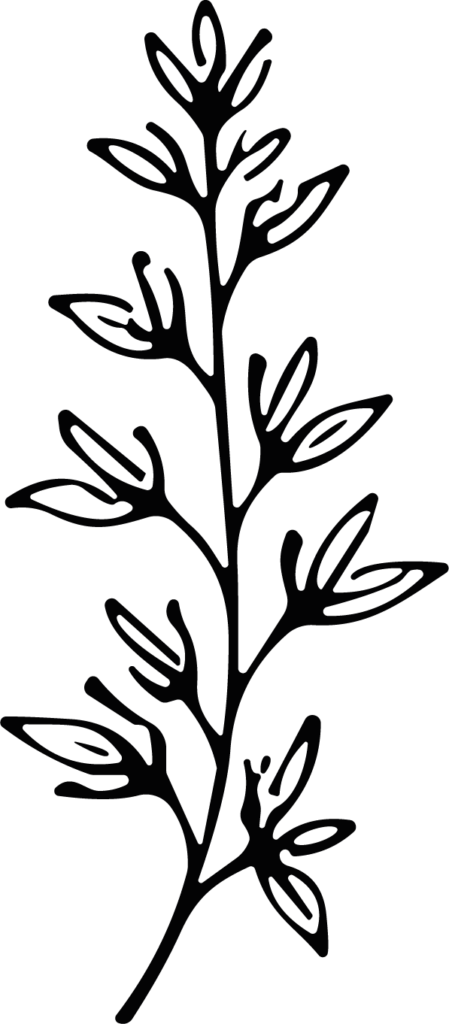 Leafy Branch SVG Bold Botanical Vector