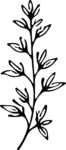 Leafy Branch SVG Bold Botanical Vector