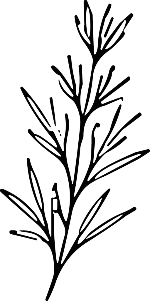 Leafy Branch SVG Delicate Botanical Vector