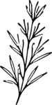 Leafy Branch SVG Delicate Botanical Vector