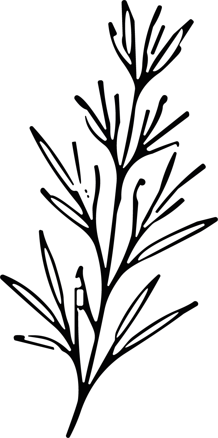 Leafy Branch SVG Delicate Botanical Vector - Image 1