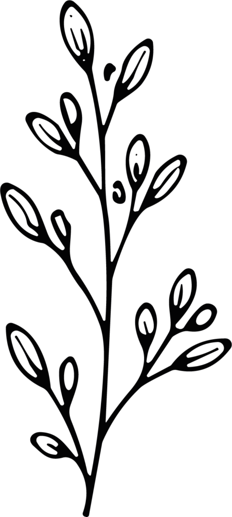 Leafy Branch SVG Bold Botanical Vector