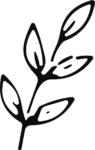 Leafy Branch SVG Bold Botanical Vector