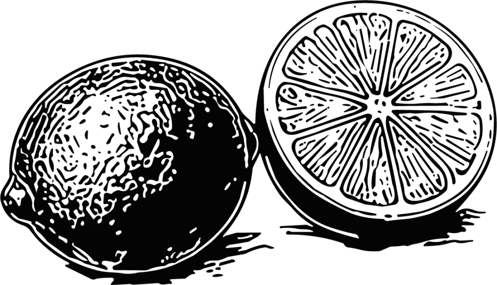 Lemon Slice Bold Monochrome Vector