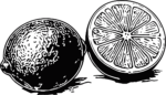 Lemon Slice Bold Monochrome Vector