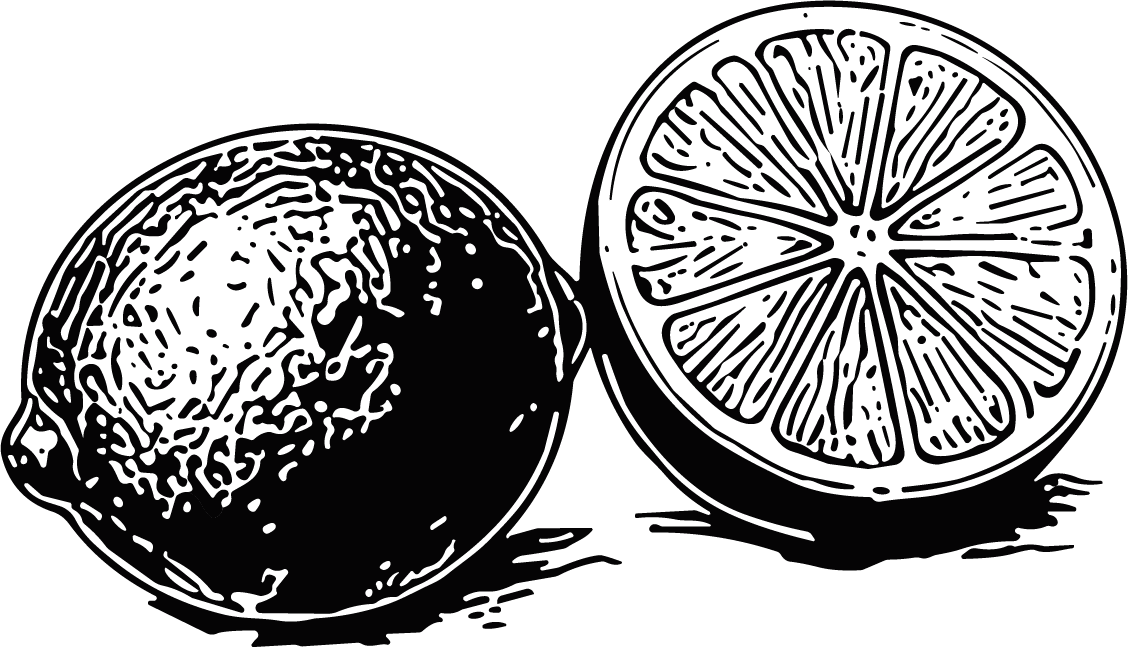 Lemon Slice Bold Monochrome Vector - Image 1