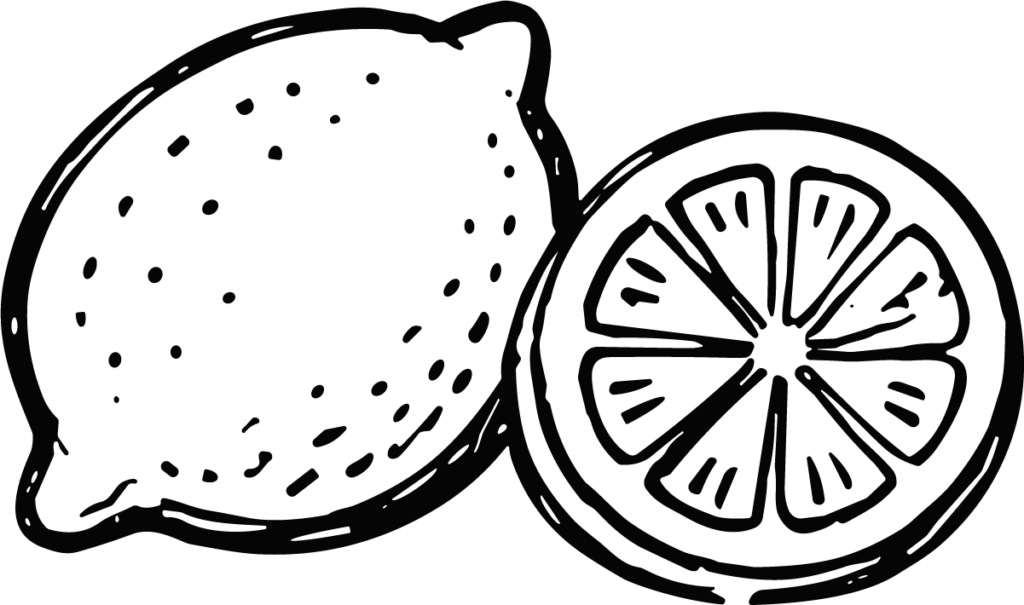 Lemon Slice SVG Bold Outline Vector