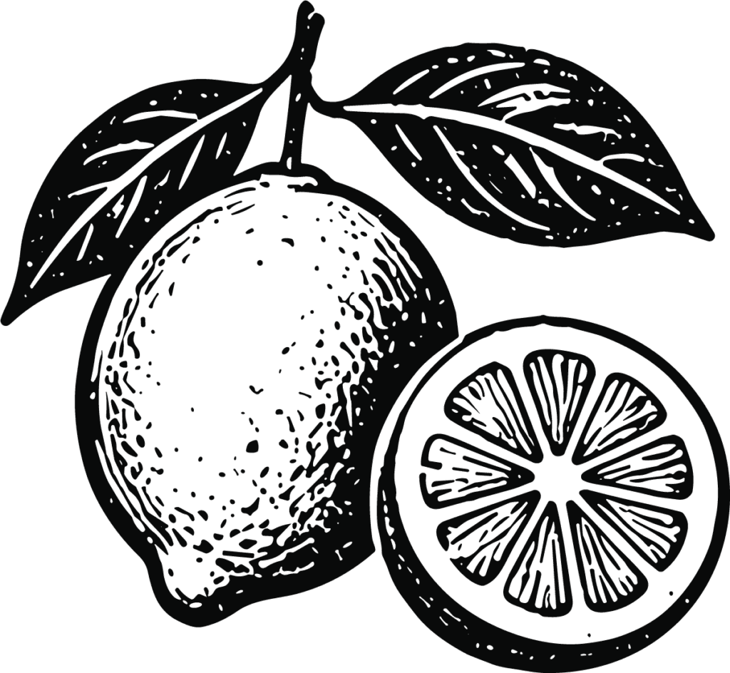 Lemon With Leaves SVG Bold Ink Sketch Vector