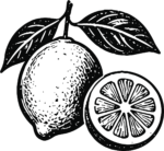 Lemon With Leaves SVG Bold Ink Sketch Vector