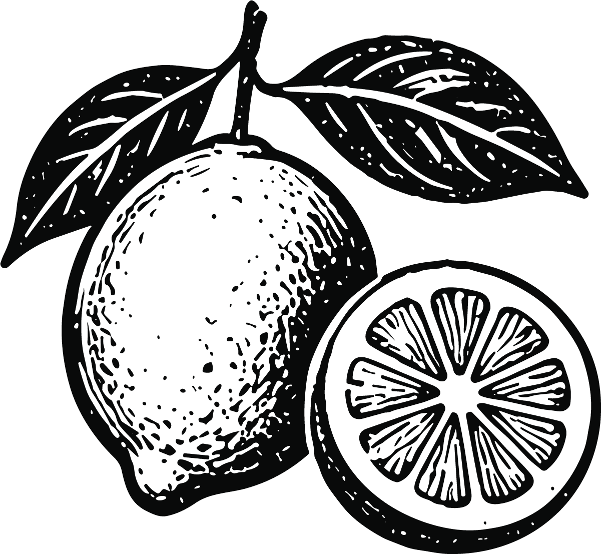 Lemon With Leaves SVG Bold Ink Sketch Vector - Image 1
