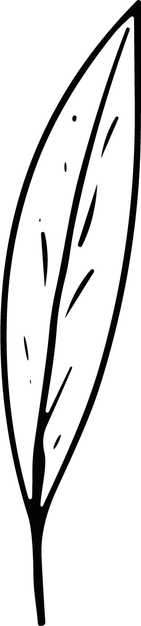 Long Leaf SVG Delicate Line Sketch Vector - Image 1