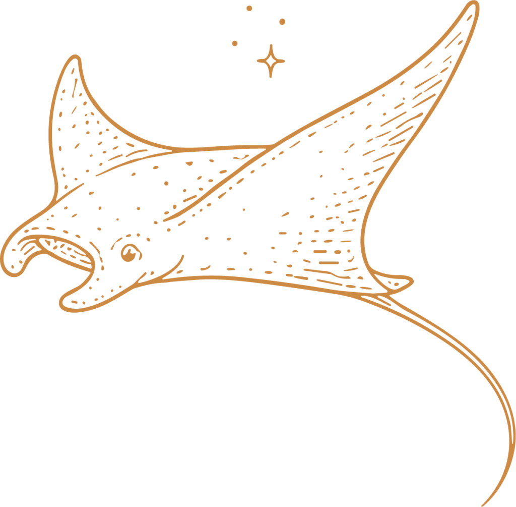 Manta Ray SVG Flowing Sketch Vector
