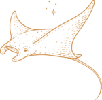 Manta Ray SVG Flowing Sketch Vector