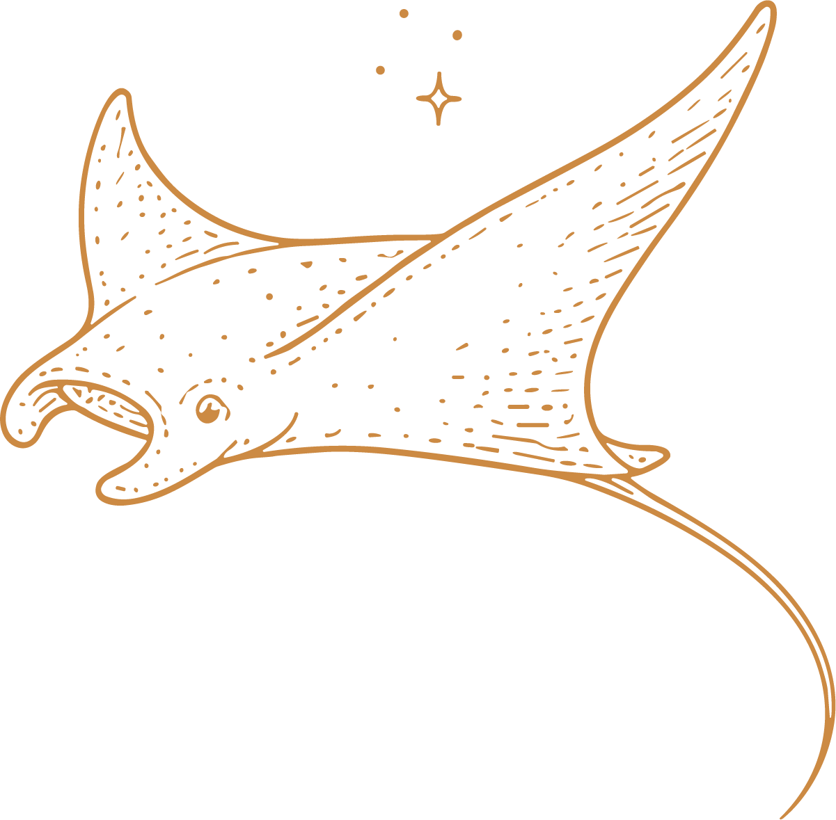 Manta Ray SVG Flowing Sketch Vector - Image 1