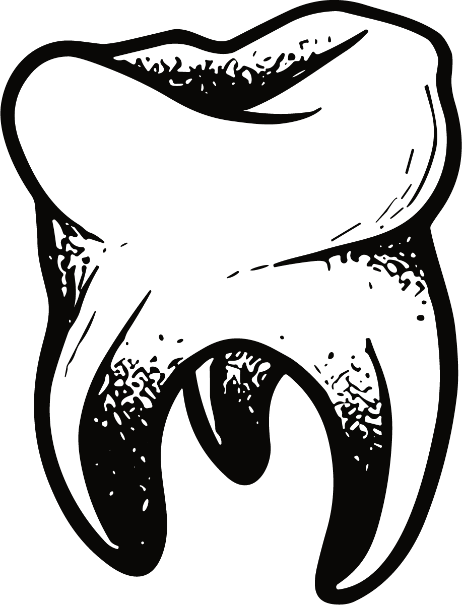 Molar Tooth SVG Bold Ink Illustration Vector - Image 1