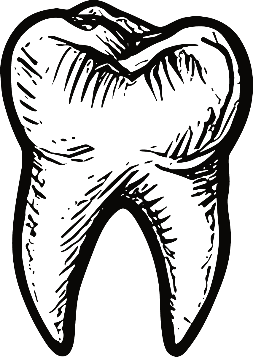 Molar Tooth SVG Sketchy Engraving Vector - Image 1