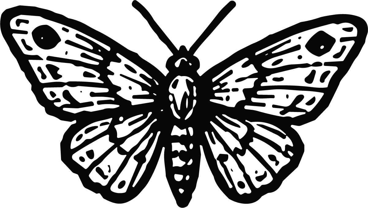 Moth SVG Detailed Engraving Vector - Image 1