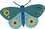 Moth SVG Teal Eyespots Vector