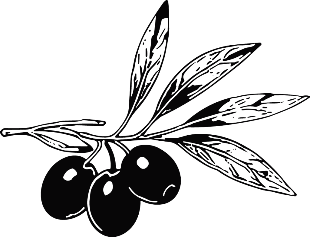Olive Branch Bold Contrast Vector