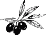 Olive Branch Bold Contrast Vector