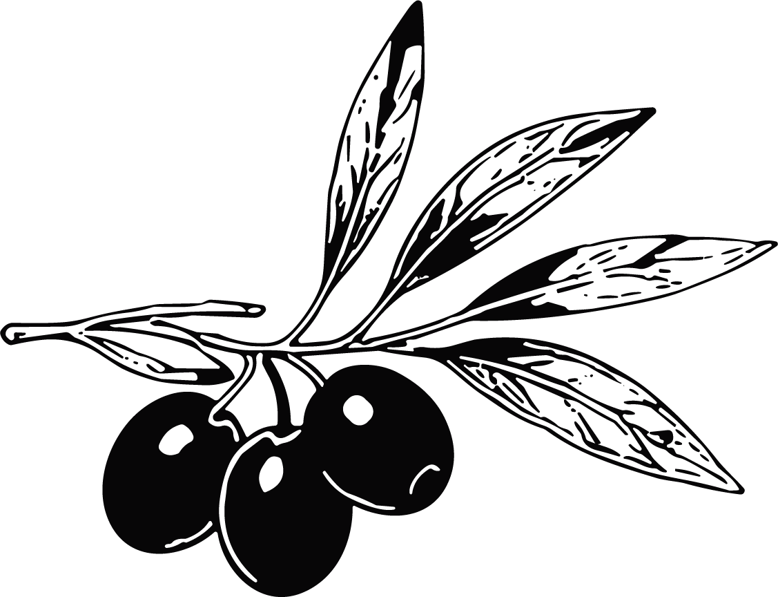 Olive Branch Bold Contrast Vector - Image 1