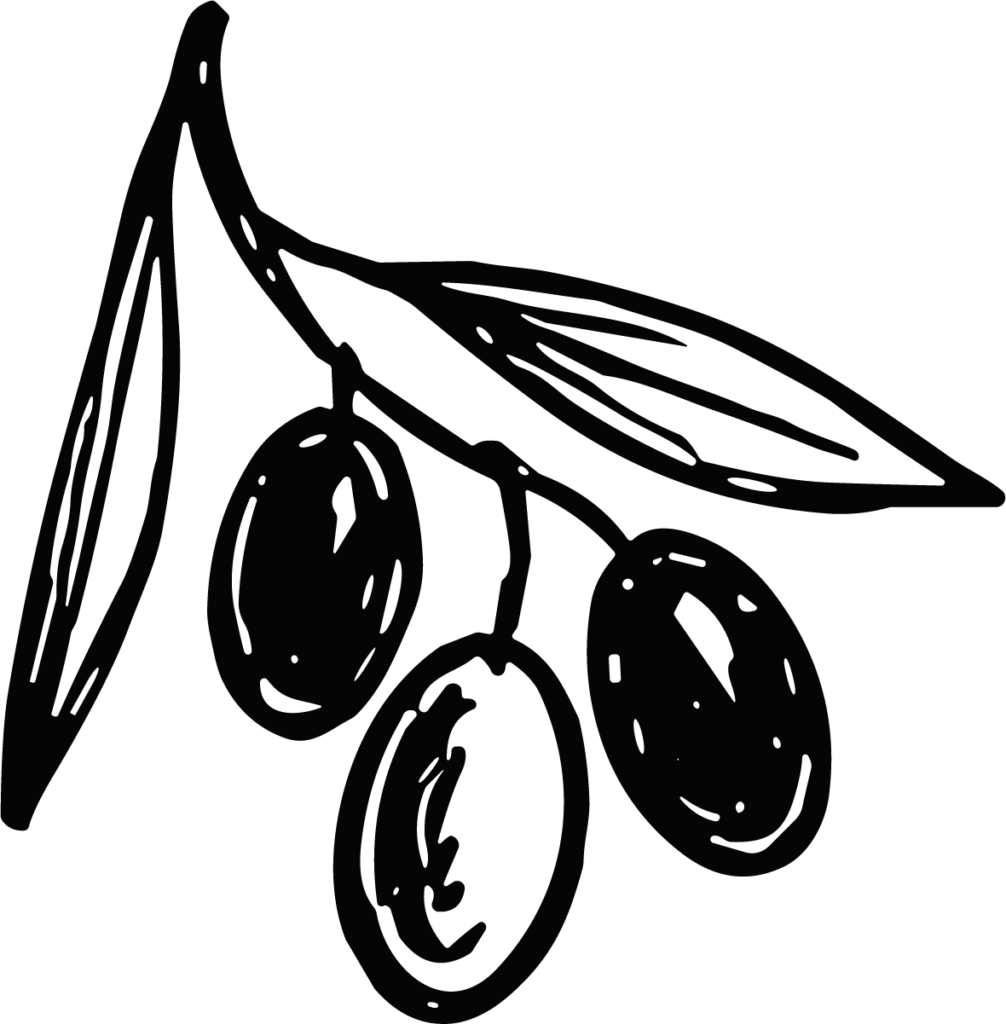 Olive Branch SVG Bold Sketch Vector