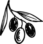 Olive Branch SVG Bold Sketch Vector