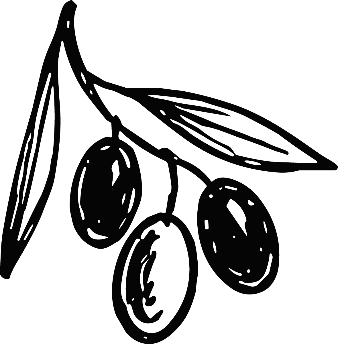 Olive Branch SVG Bold Sketch Vector - Image 1