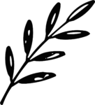 Olive Branch SVG Bold Silhouette Vector