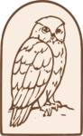 Owl Illustration SVG Detailed Sketch Vector