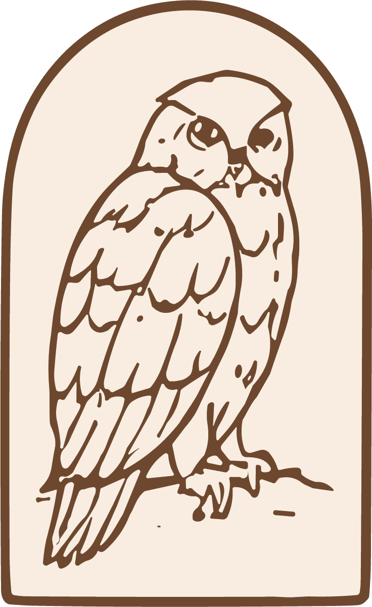 Owl Illustration SVG Detailed Sketch Vector - Image 1