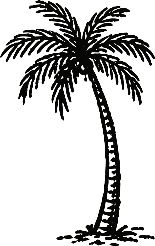 Palm Tree SVG Bold Silhouette Vector