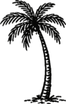 Palm Tree SVG Bold Silhouette Vector