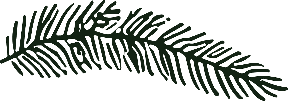 Pine Branch SVG Bold Botanical Vector - Image 1