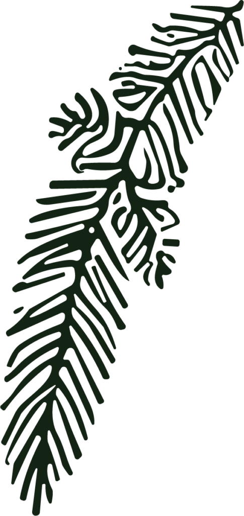 Pine Branch SVG Bold Botanical Vector