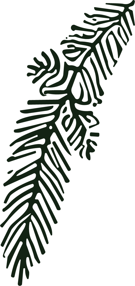 Pine Branch SVG Bold Botanical Vector - Image 1