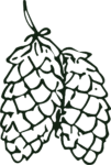 Pine Cone SVG Bold Outline Vector
