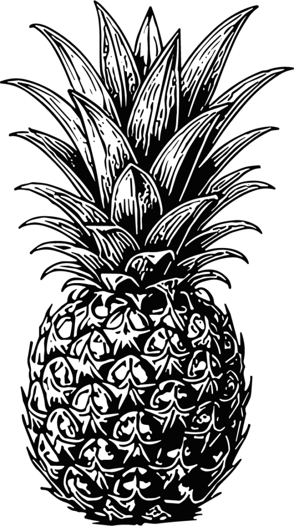 Pineapple Detailed Engraving Vector