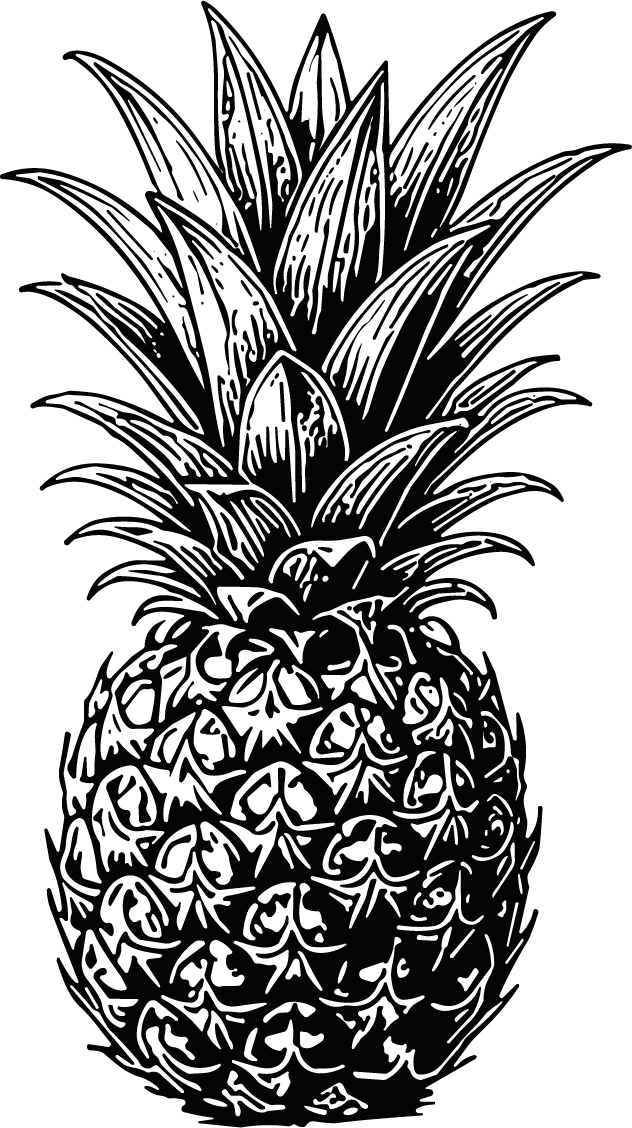 Pineapple Detailed Engraving Vector - Image 1