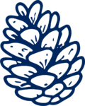 Pinecone SVG Bold Outline Vector