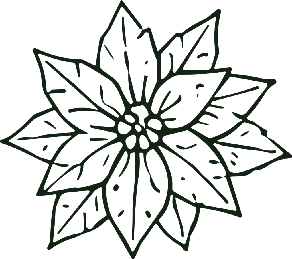 Poinsettia Flower SVG Bold Outline Vector