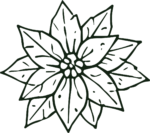 Poinsettia Flower SVG Bold Outline Vector