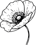 Poppy Flower SVG Bold Outline Vector