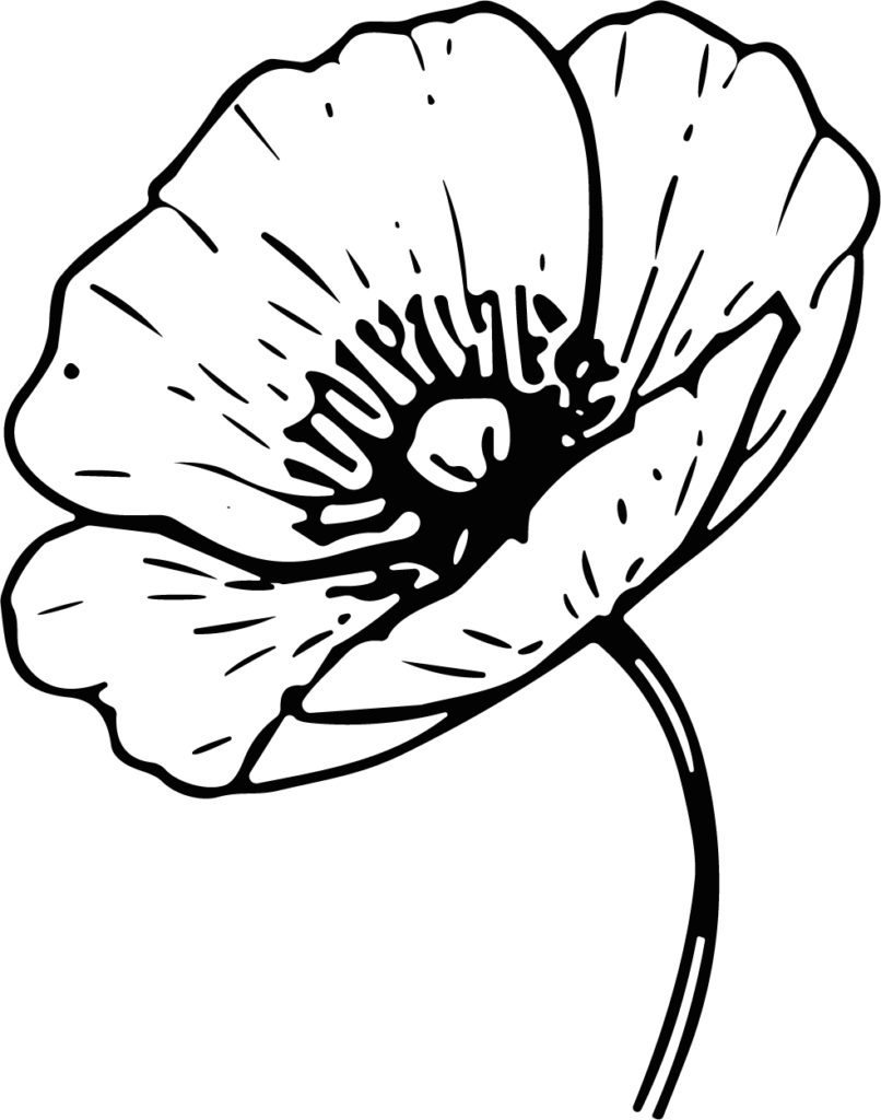 Poppy Flower SVG Bold Outline Vector