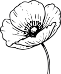 Poppy Flower SVG Bold Outline Vector