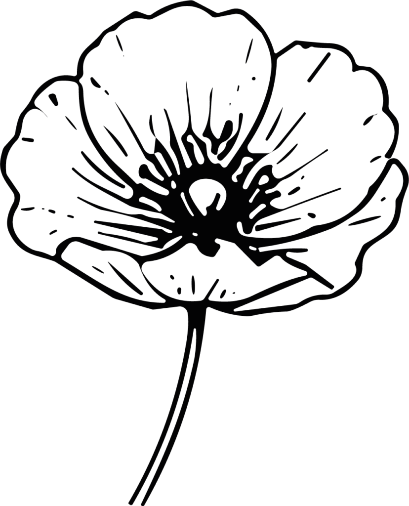 Poppy Flower SVG Bold Outline Vector