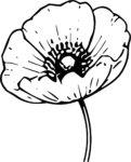 Poppy Flower SVG Bold Outline Vector