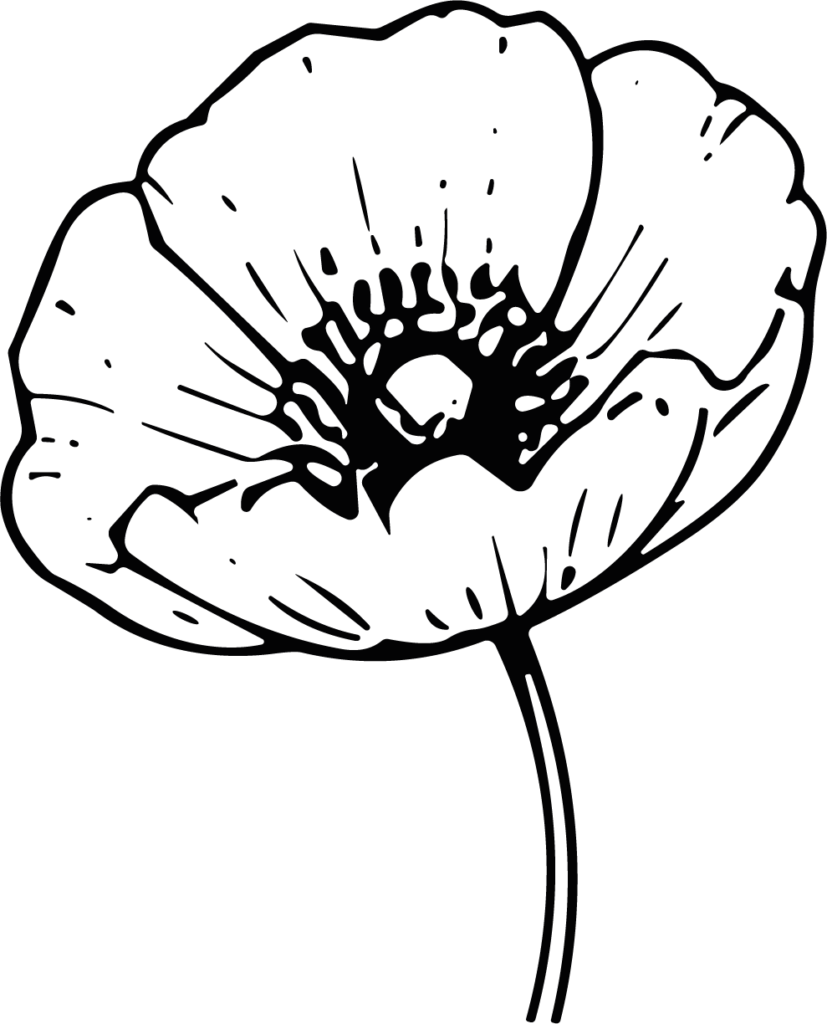 Poppy Flower SVG Bold Outline Vector